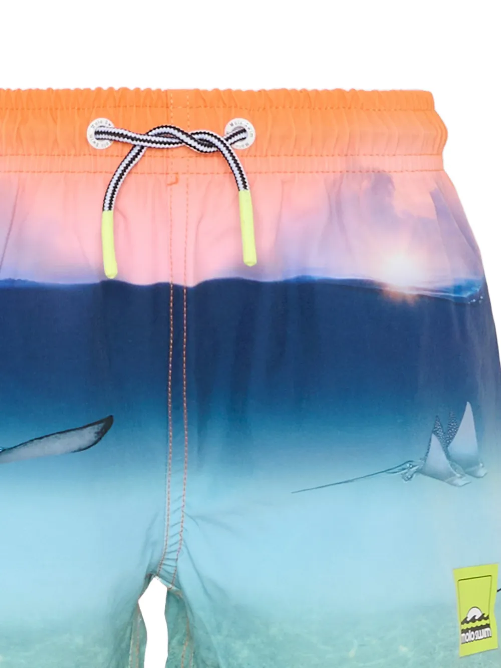 Molo Zwembroek met grafische print Blauw