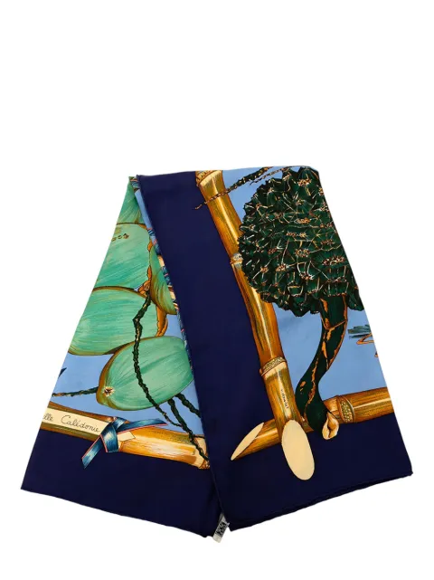 Hermès Pre-Owned 1990-2010 Nouvelle Caledonie Silk Scarf scarves