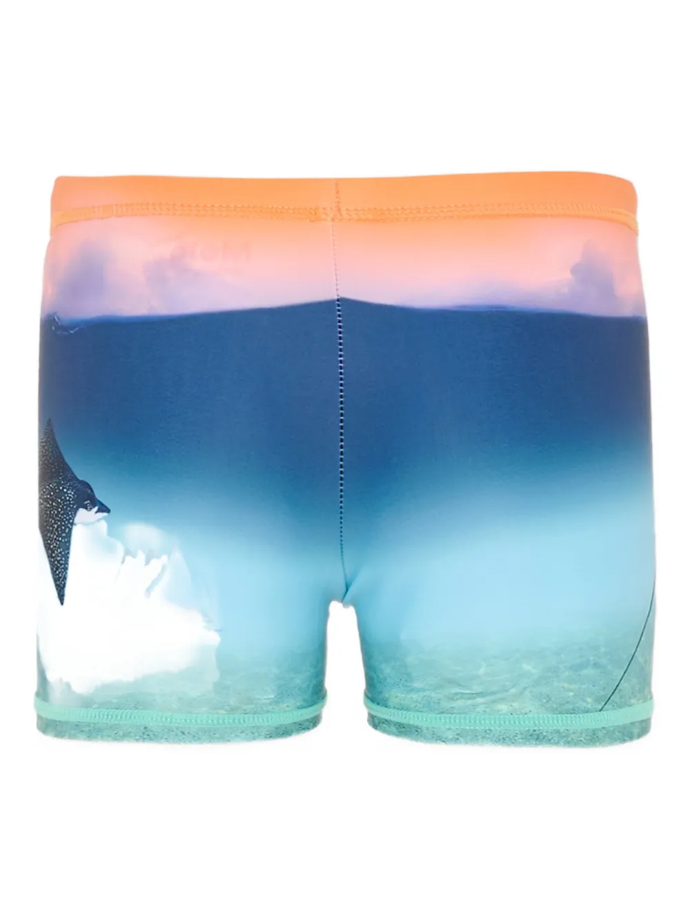 Molo printed swim boxers | Teen Swim Shorts & Trunks | Image 2