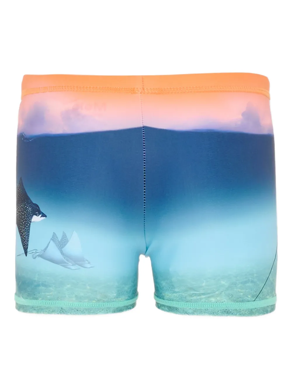 Molo printed swim boxers | Teen Swim Shorts & Trunks | Image 2