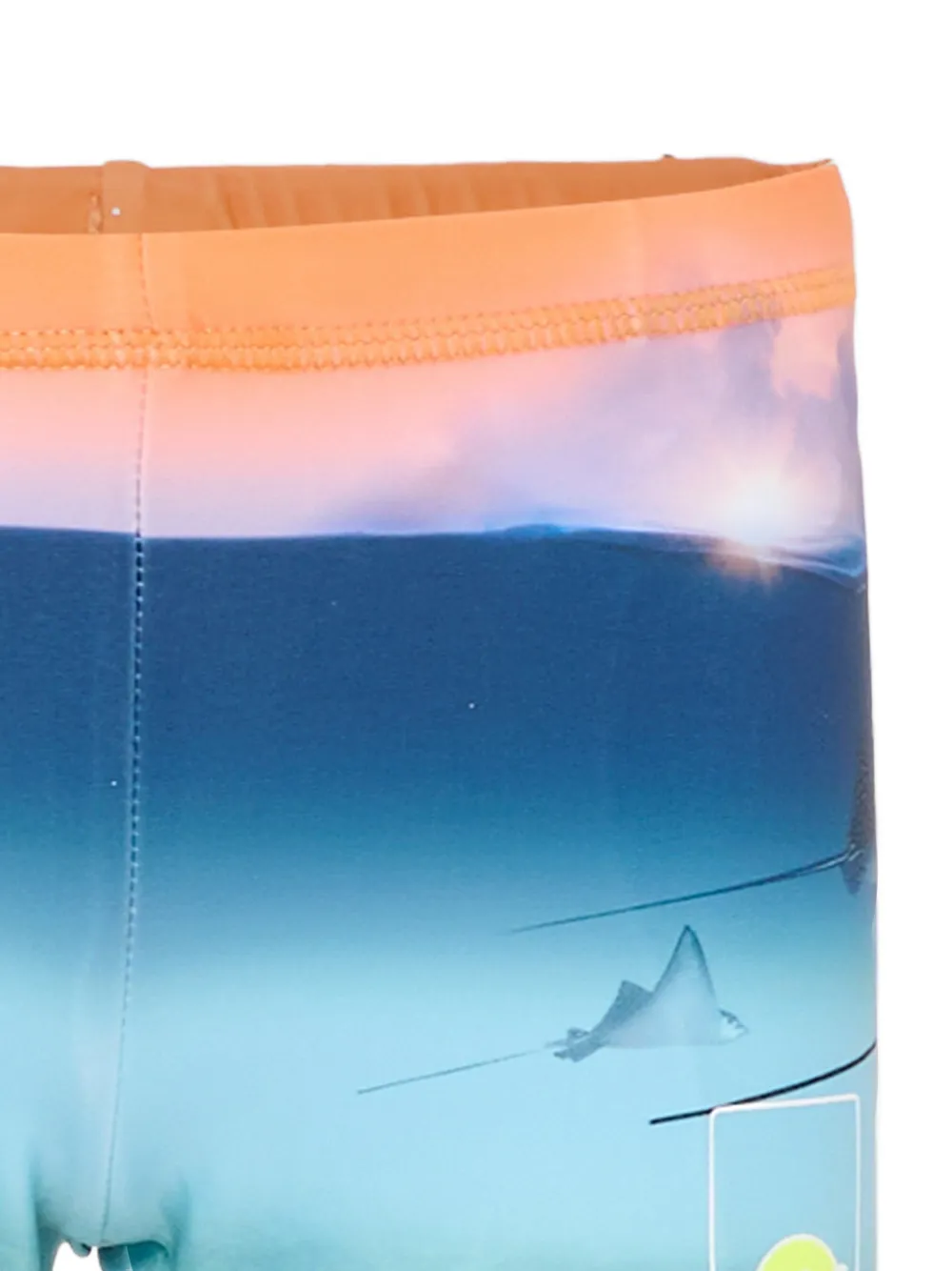 Molo Zwembroek met print Blauw