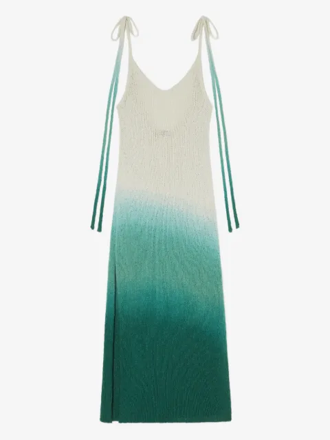 Alanui Wave Bloom maxi dress