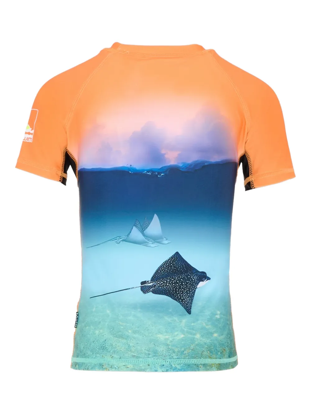 Molo playera estampado con protección solar | Ropa con protección solar para chico | Image 2