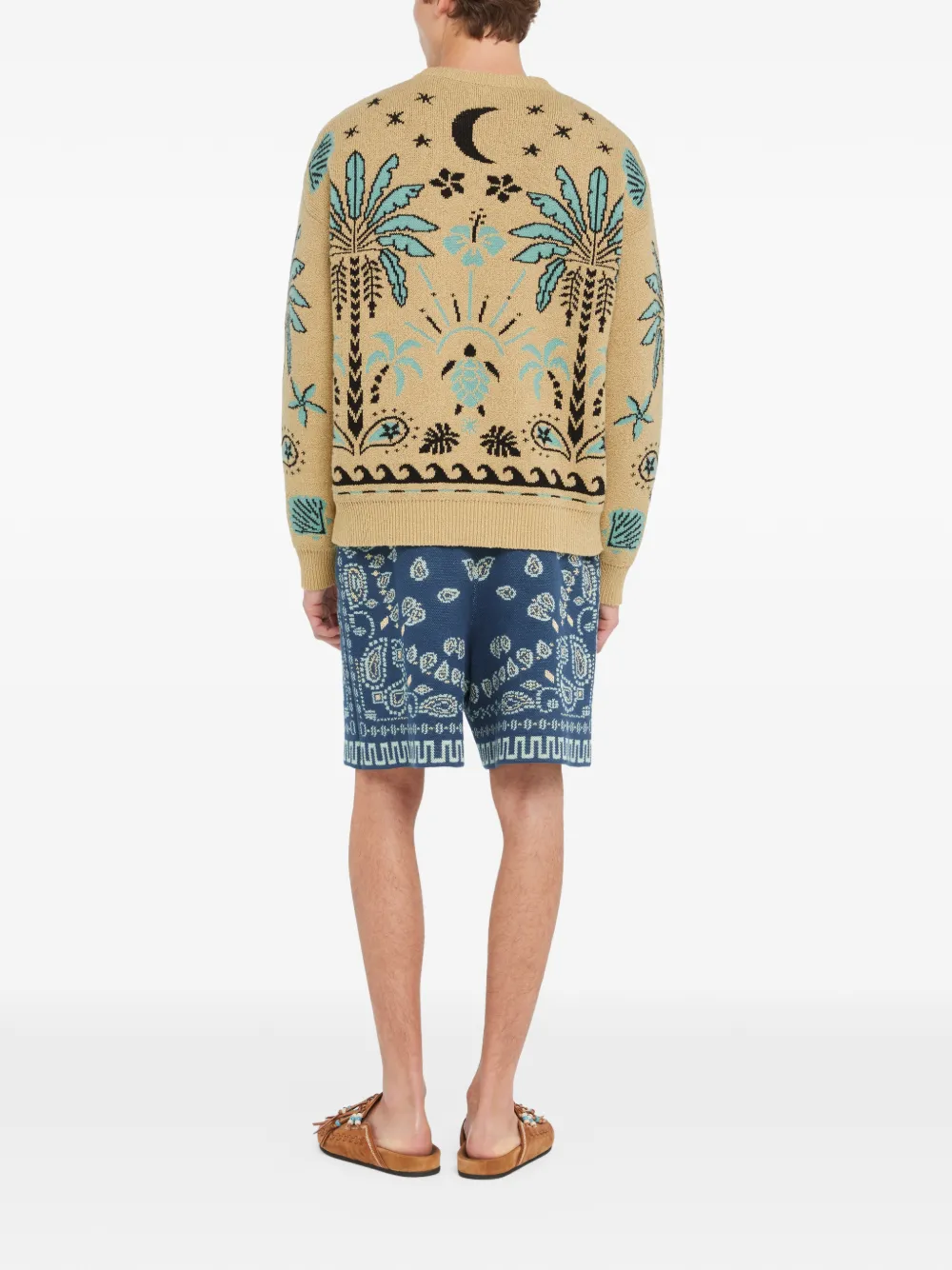 Alanui Sweater met print Beige