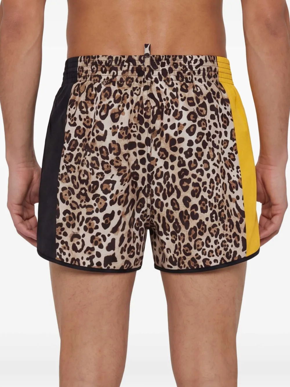 DSQUARED2 Zwembroek met luipaard-print en logo Bruin