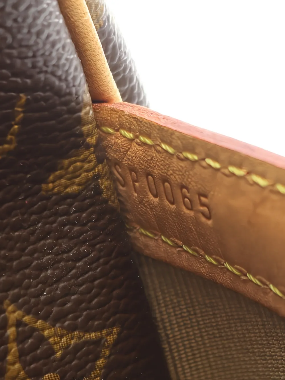 Louis Vuitton Pre-Owned Reporter GM monogram shoulder bag Bruin