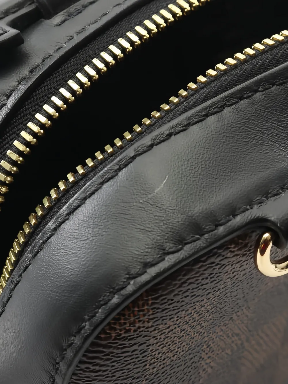 LOUIS VUITTON Pre-owned Damier Ebene Santa Monica Checkerboard Pattern Shoulder Bag In Brown