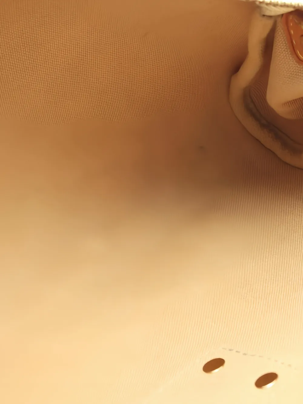 LOUIS VUITTON Pre-owned Eva Chain-strap Shoulder Bag In Neutral