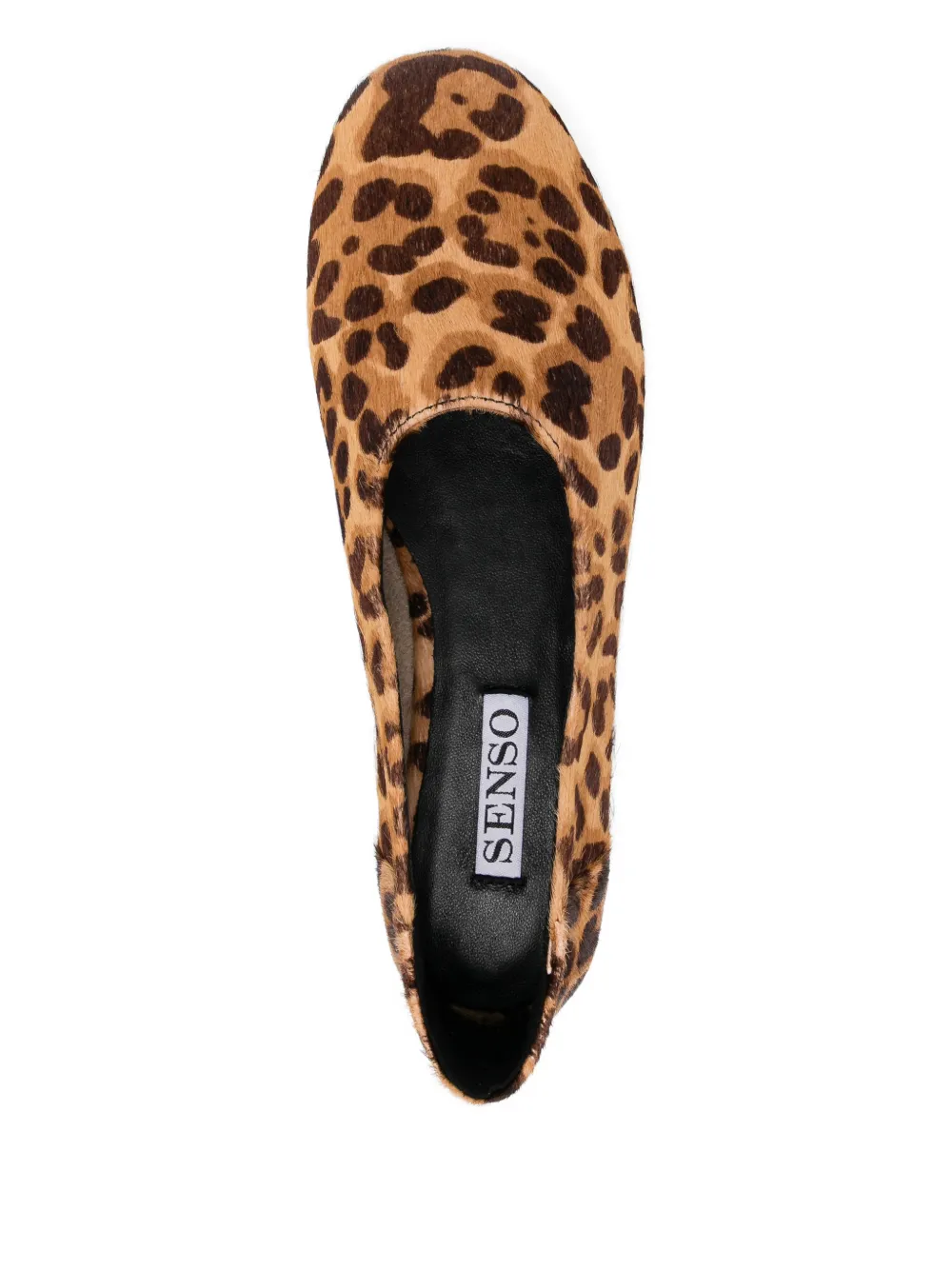 Senso Casey ballerina's Bruin