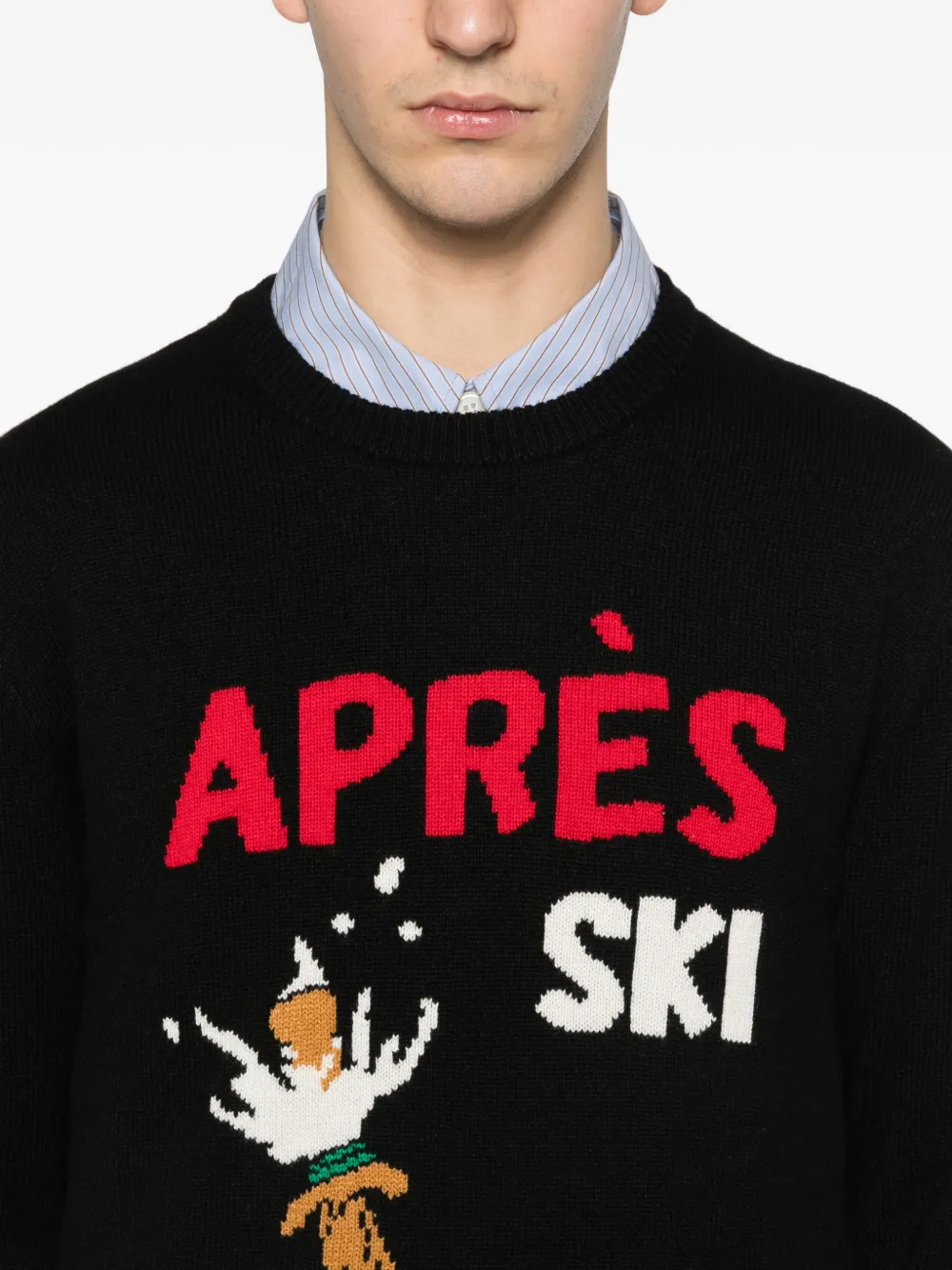 Heron Graphic-Intarsia Sweater