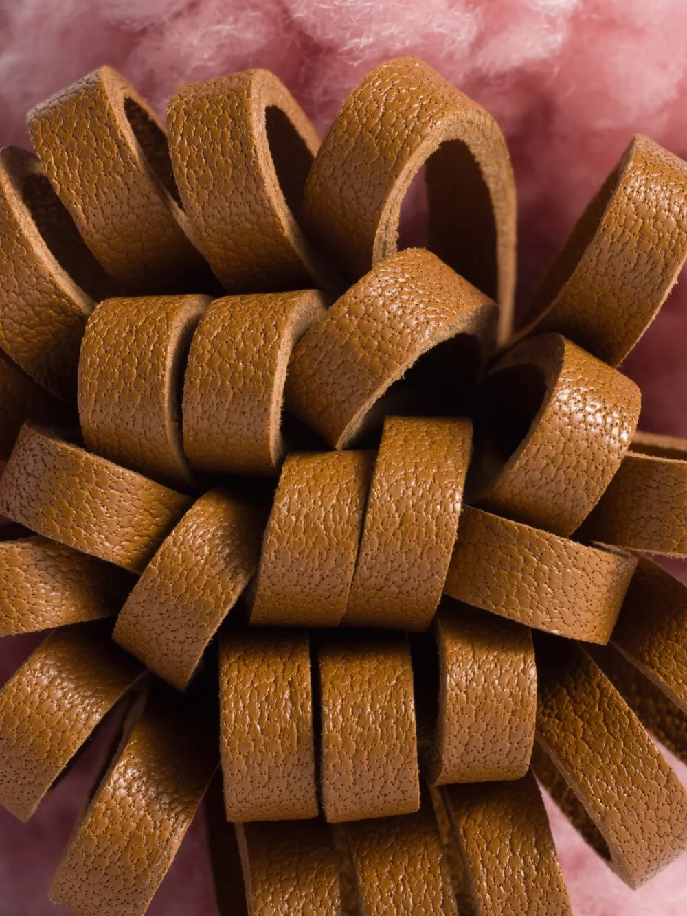 Miu Miu Leather Lettering-logo Trick In Brown