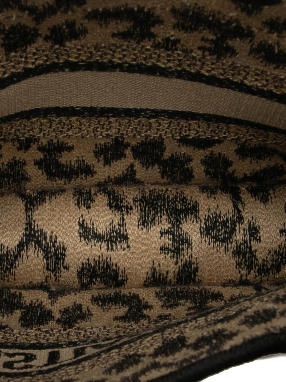 DIOR Pre-owned 2021 Mizza Mini Embroidered Canvas Leopard Book Tote Bag In Brown