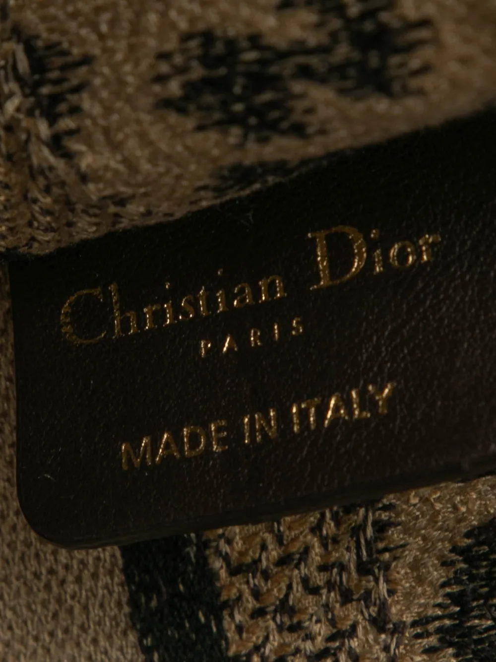 DIOR Pre-owned 2021 Mizza Mini Embroidered Canvas Leopard Book Tote Bag In Brown