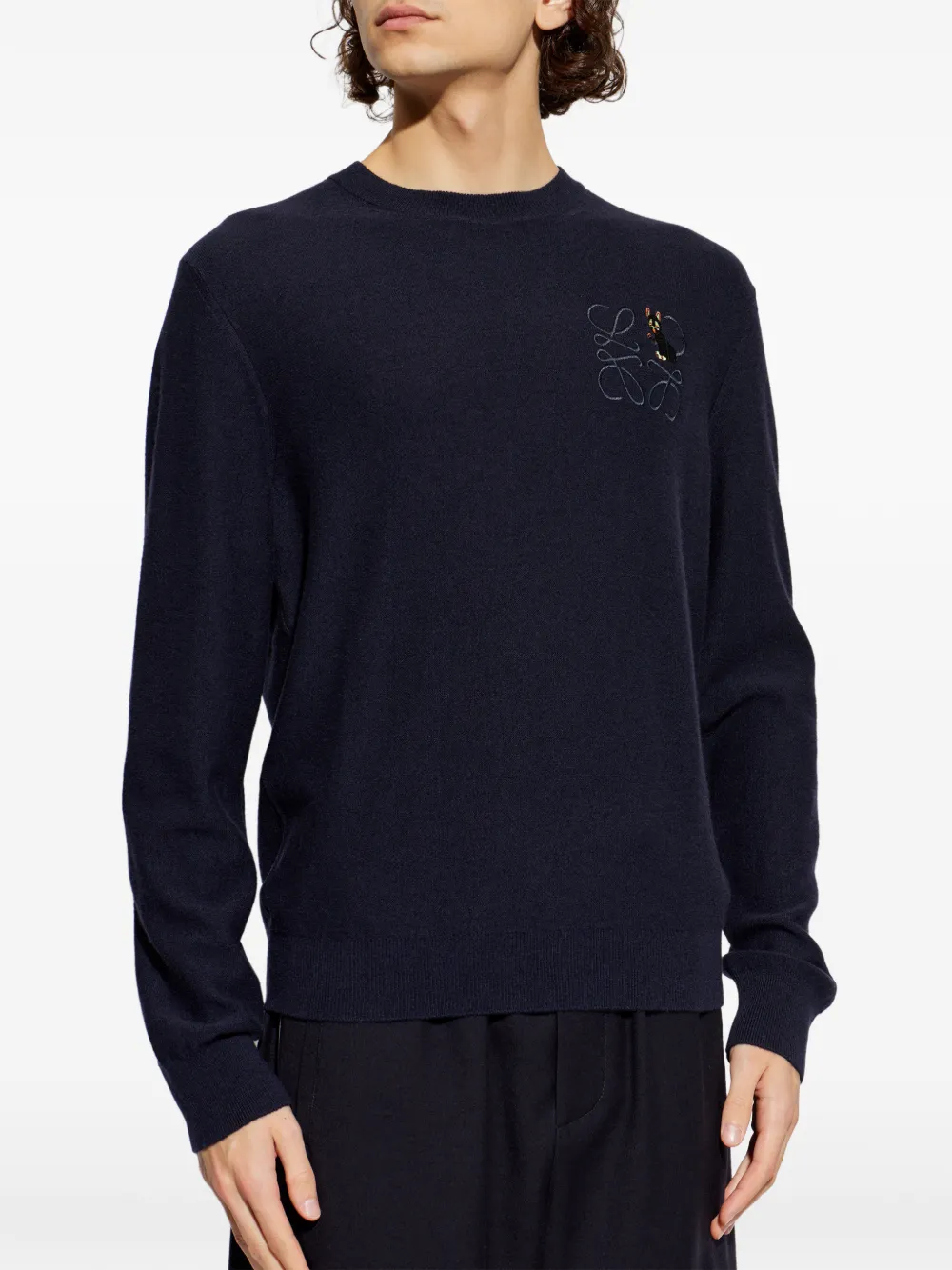  Loewe X Louis Wain Embroidered Wool Sweater - Blue 