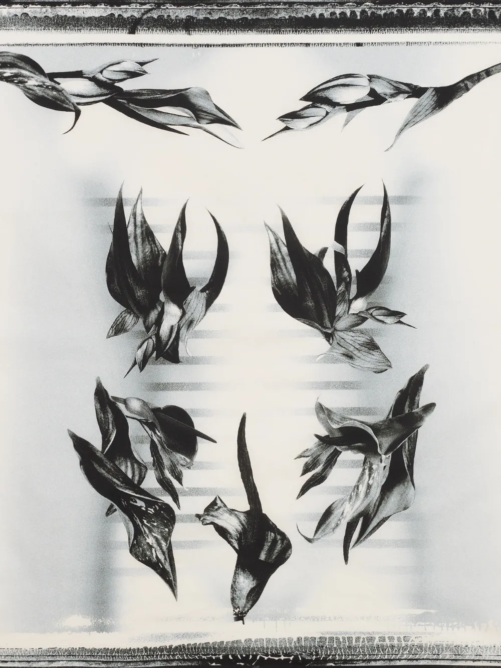 Jean Paul Gaultier printed sarong - Wit