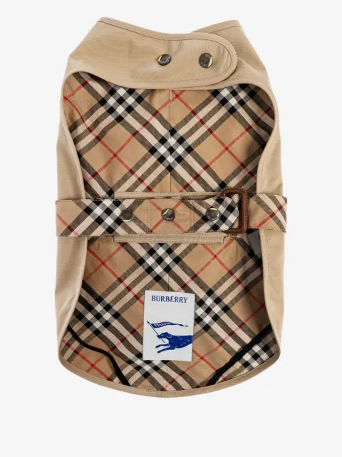 Burberry معطف كلب غبردين