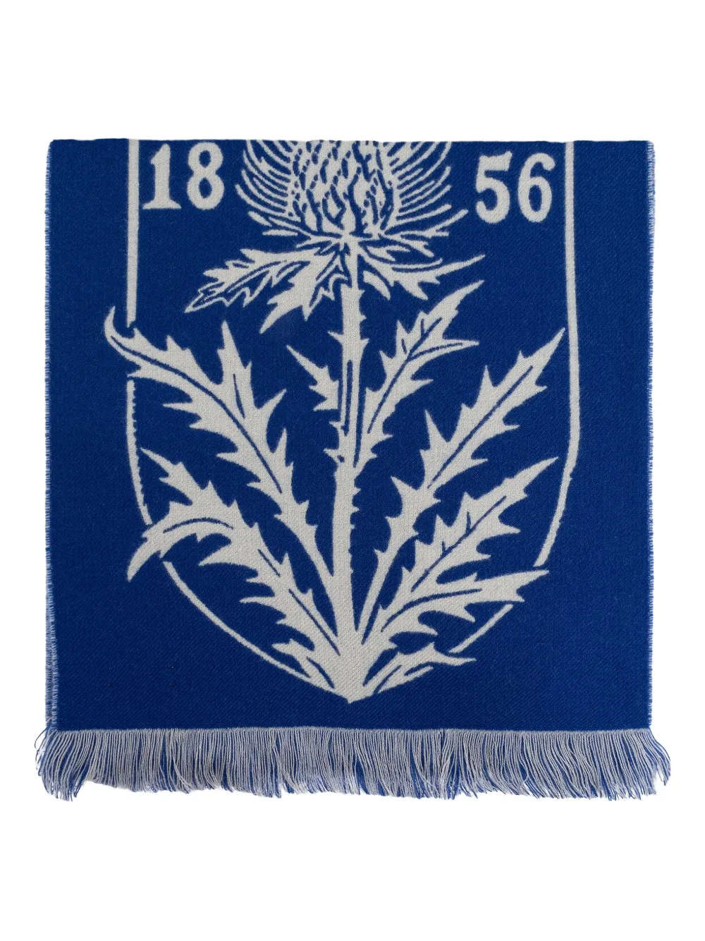 Burberry Thistle frayed-edges scarf - Blu