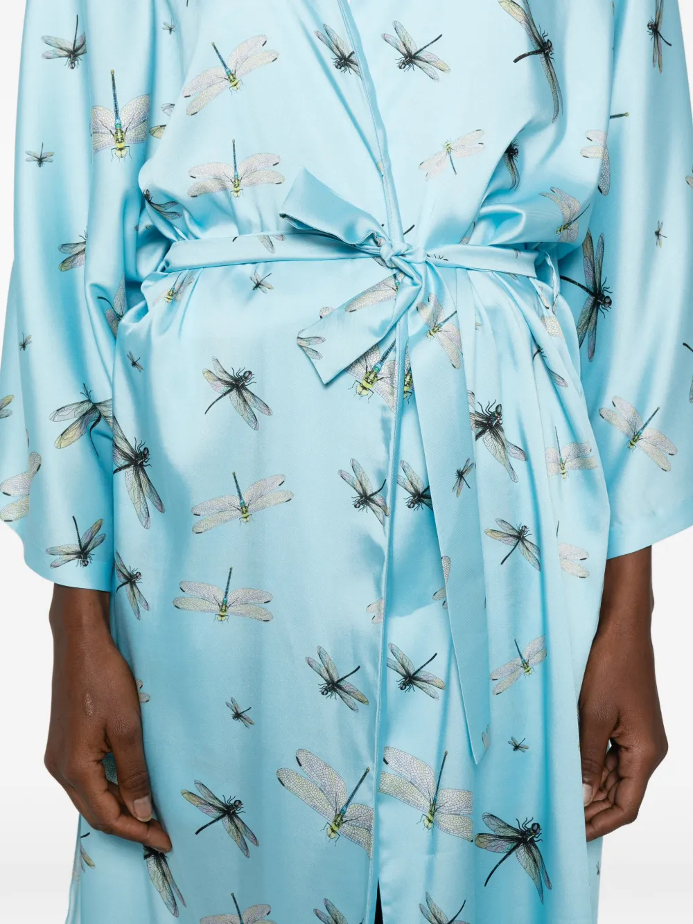 Parlor Dragonfly-print Set In Blue