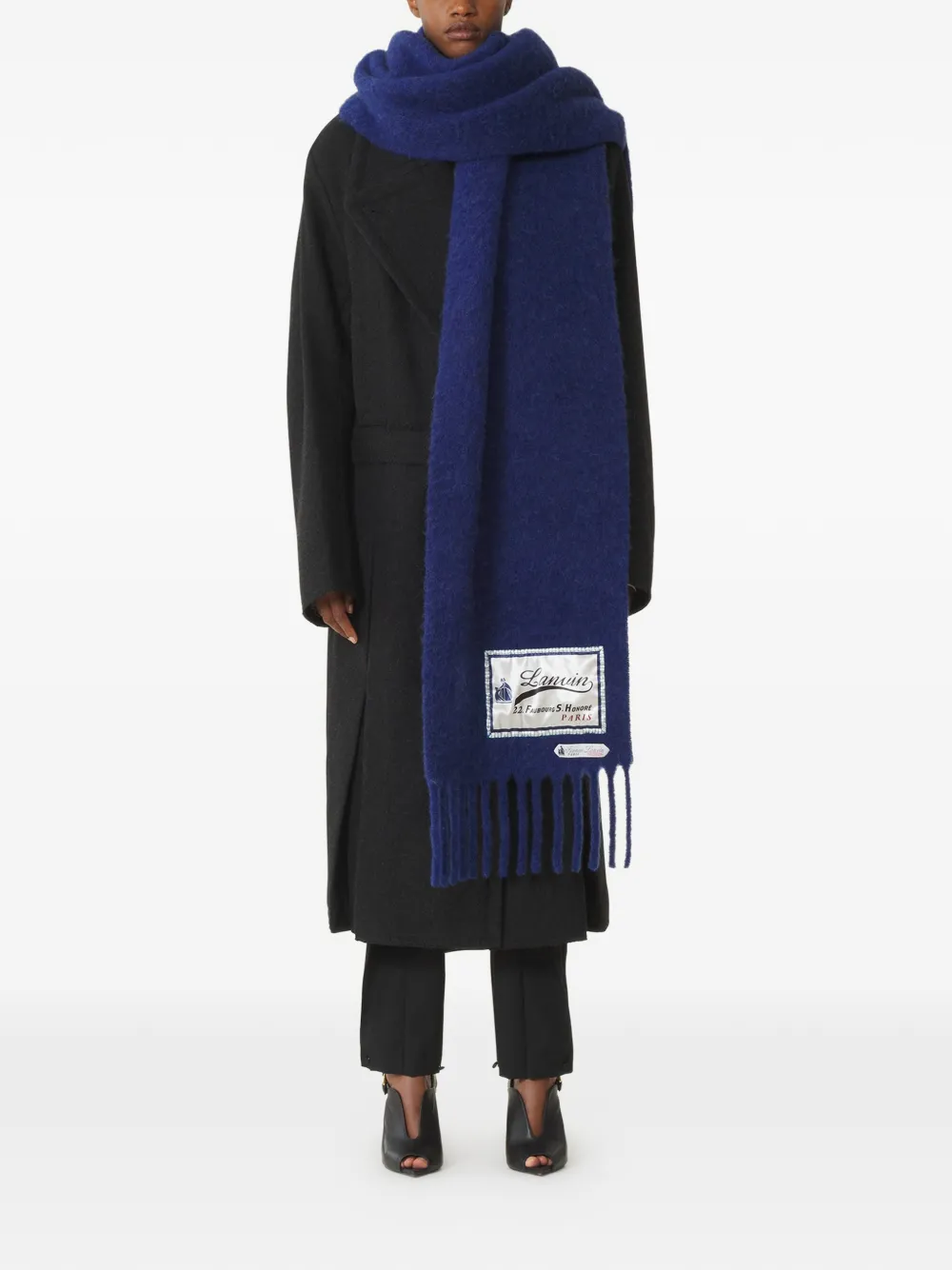  Lanvin Fringed Scarf - Blue 