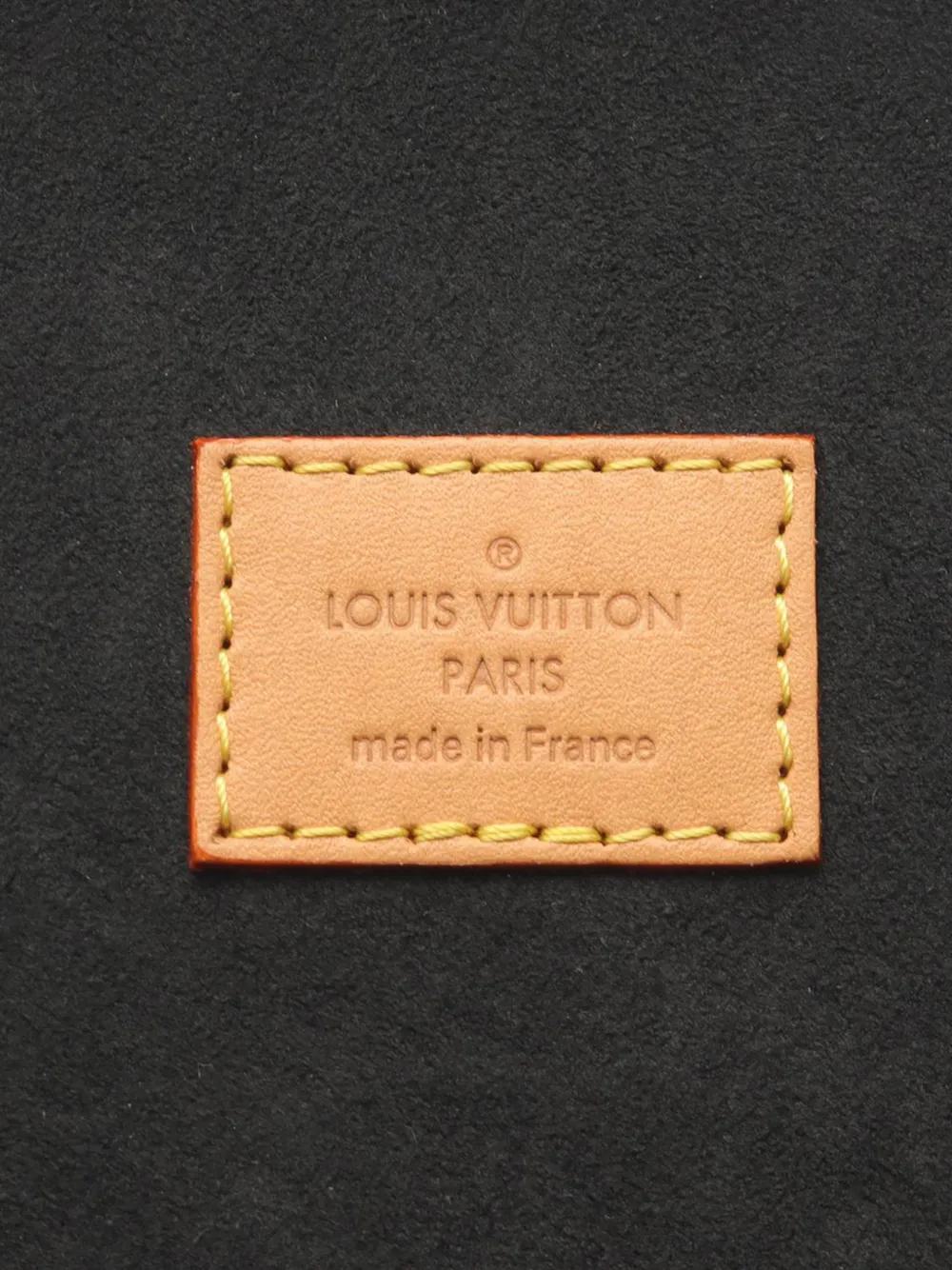 Louis Vuitton Pre-Owned 2019 モノグラム ジャイアント カンヌ