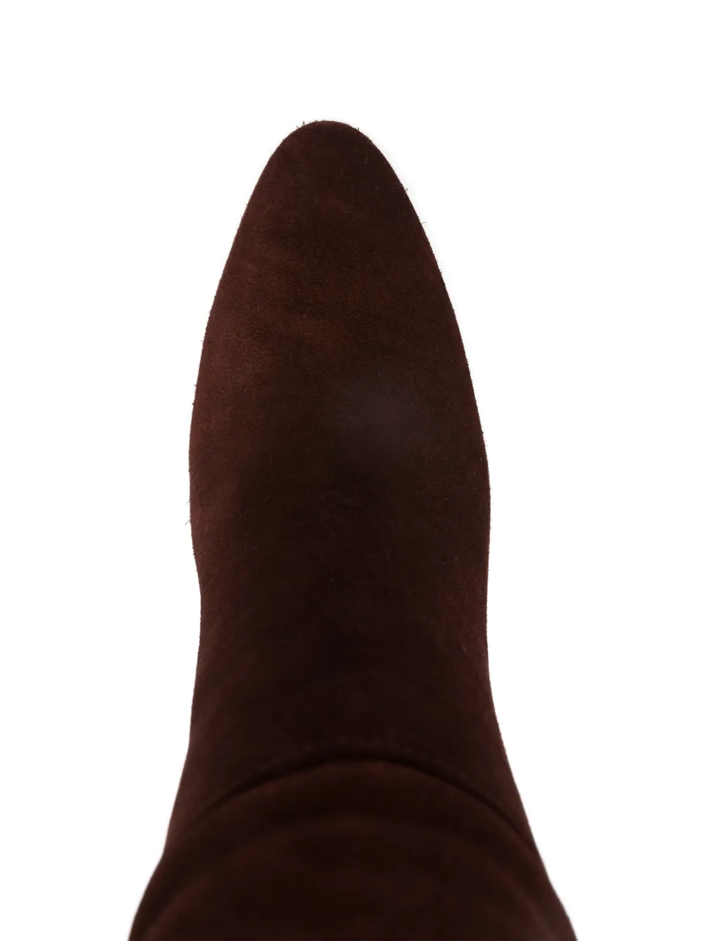 Paris Texas Lavinia laarzen met puntige neus Bruin