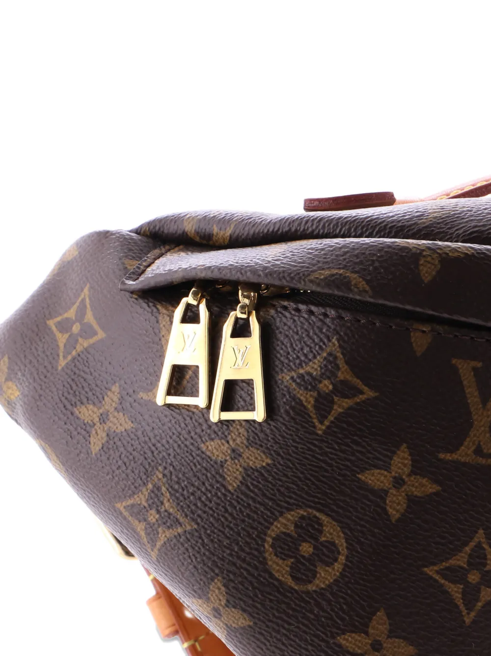 Bum Bag Monogram Canvas Belt Bag