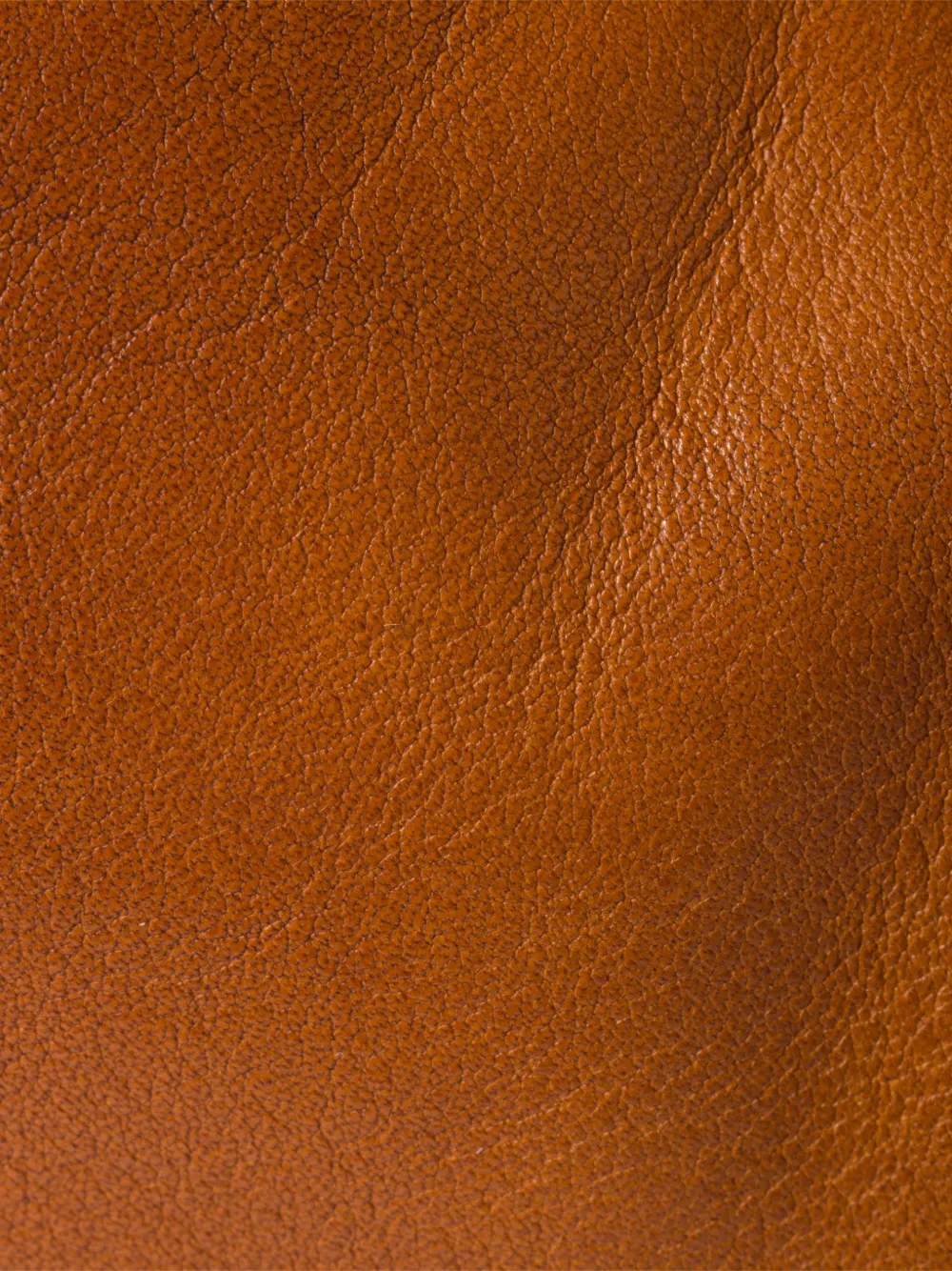 Miu Miu Wander Detachable-stap Bag In Brown