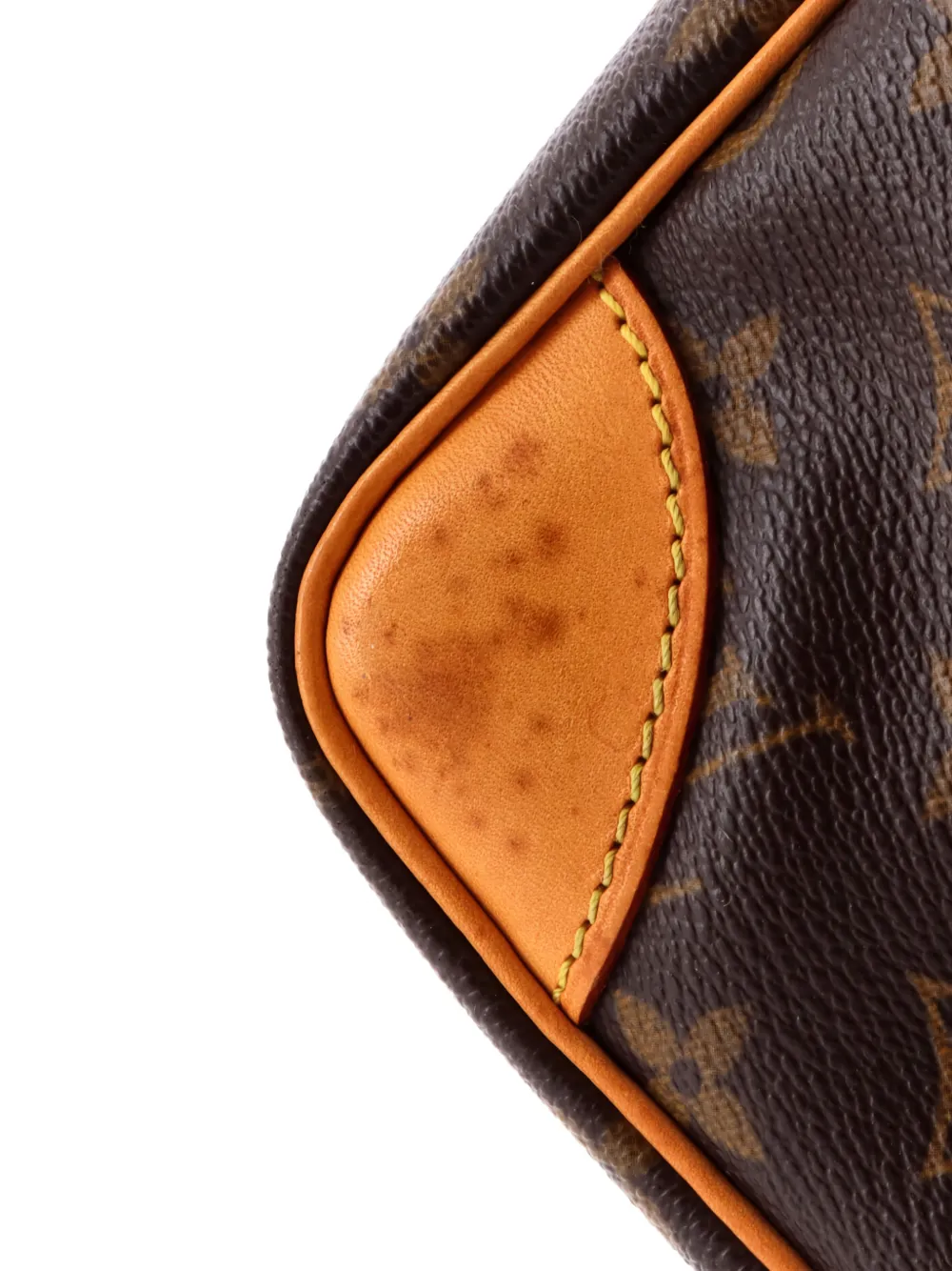 Danube Handbag Monogram Canvas Crossbody Bag