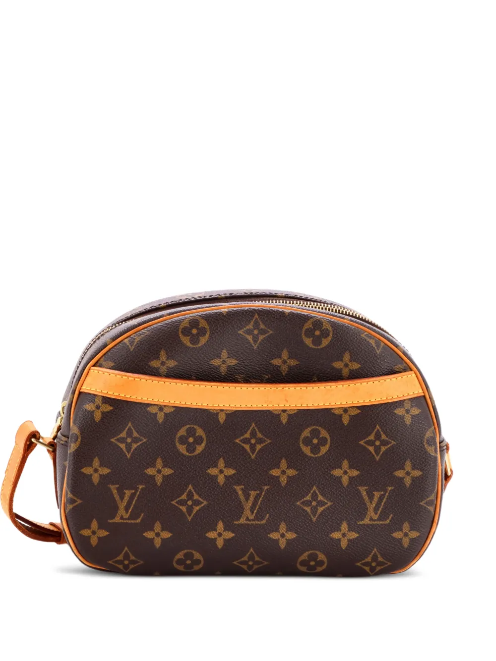 Louis Vuitton Pre-Owned Blois Handbag Monogram Canvas crossbody bag - Marrone
