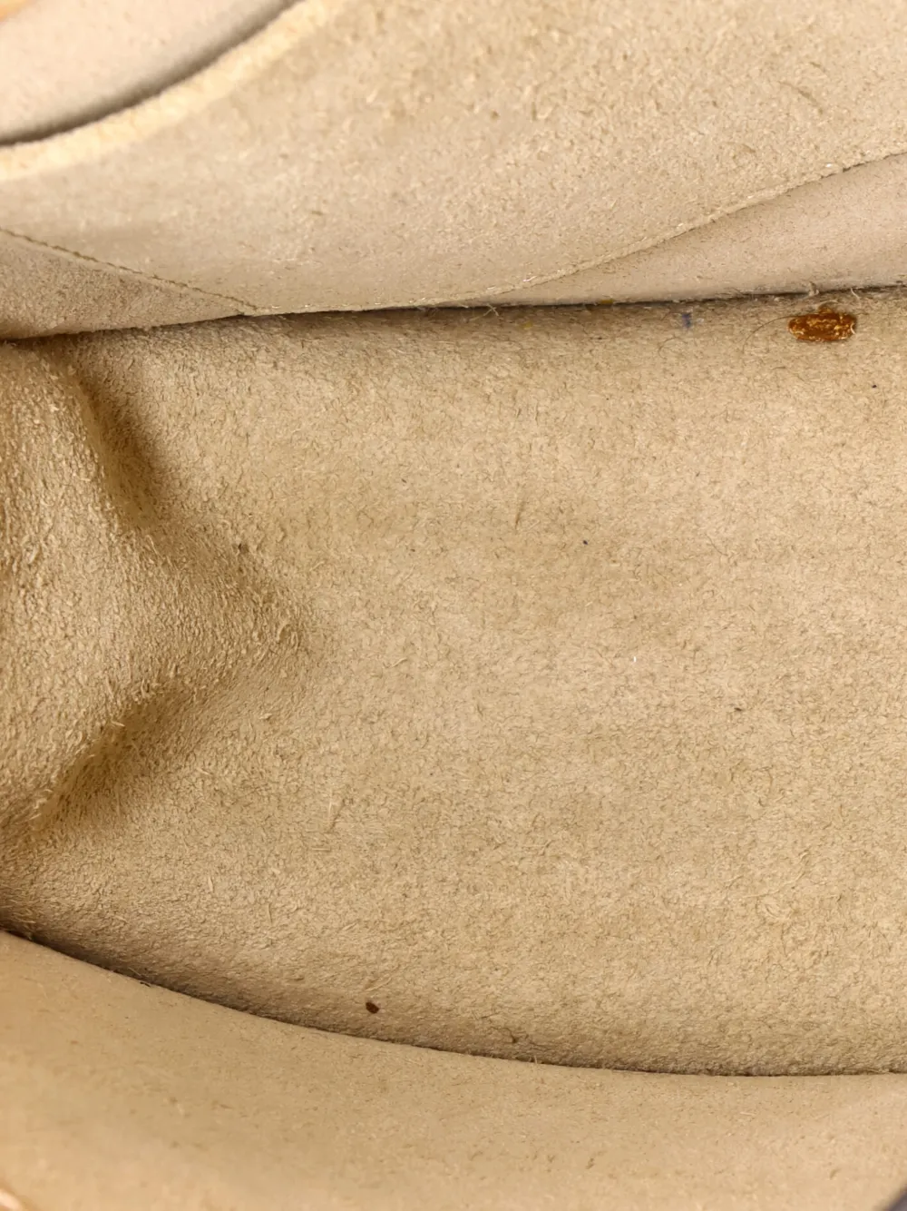 Pre-owned Chloé Nile Leather Small Crossbody Bag In Neutral