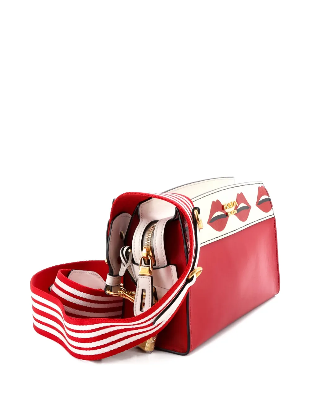 Esplanade Printed Saffiano And City Calf Small Crossbody Bag