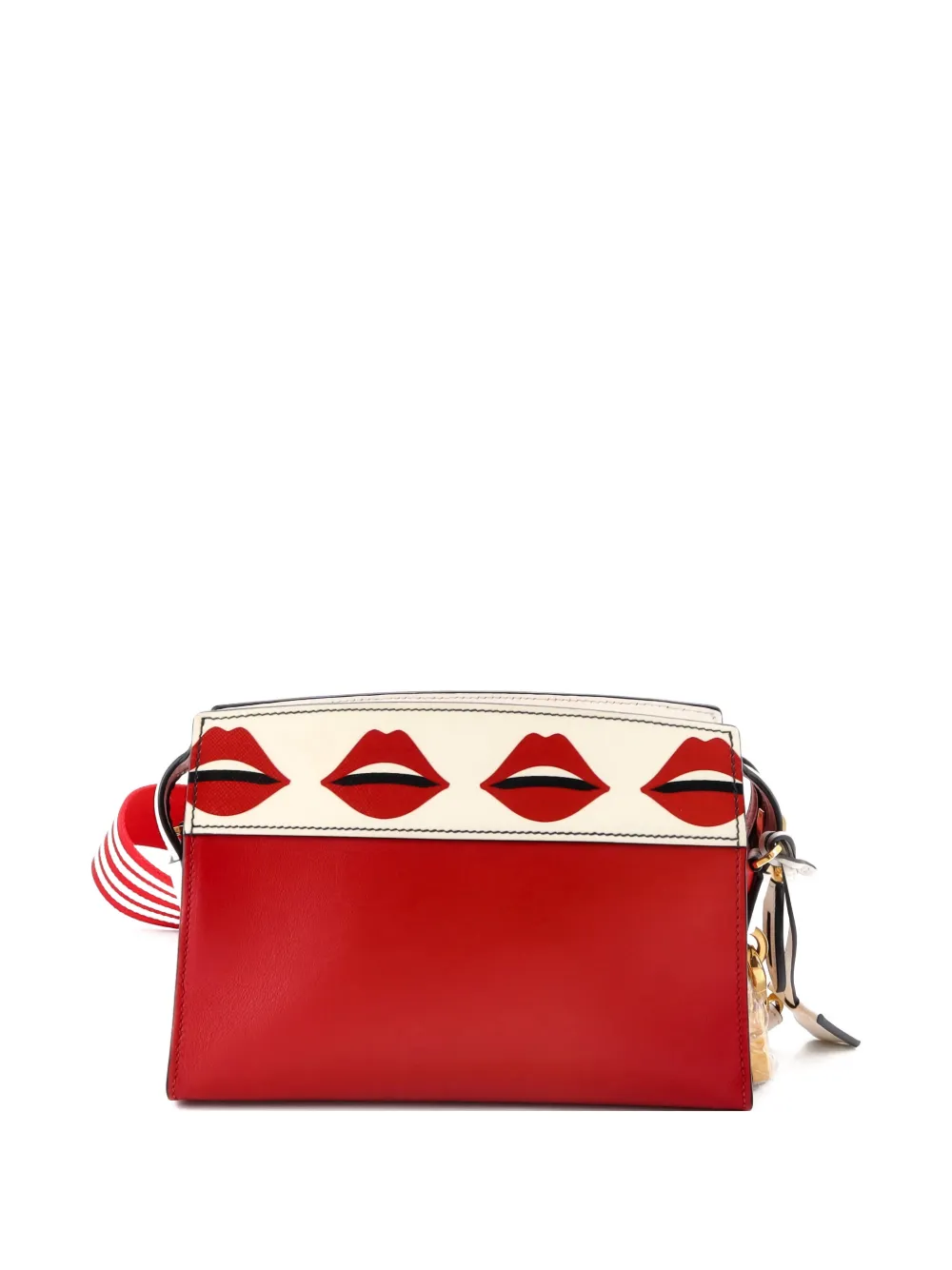 Esplanade Printed Saffiano And City Calf Small Crossbody Bag