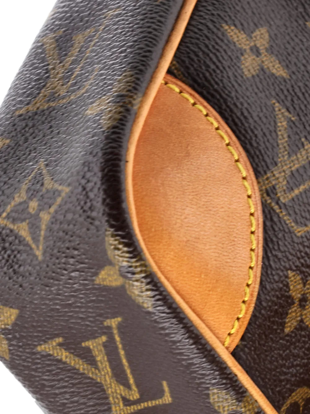 Danube Handbag Monogram Canvas Crossbody Bag