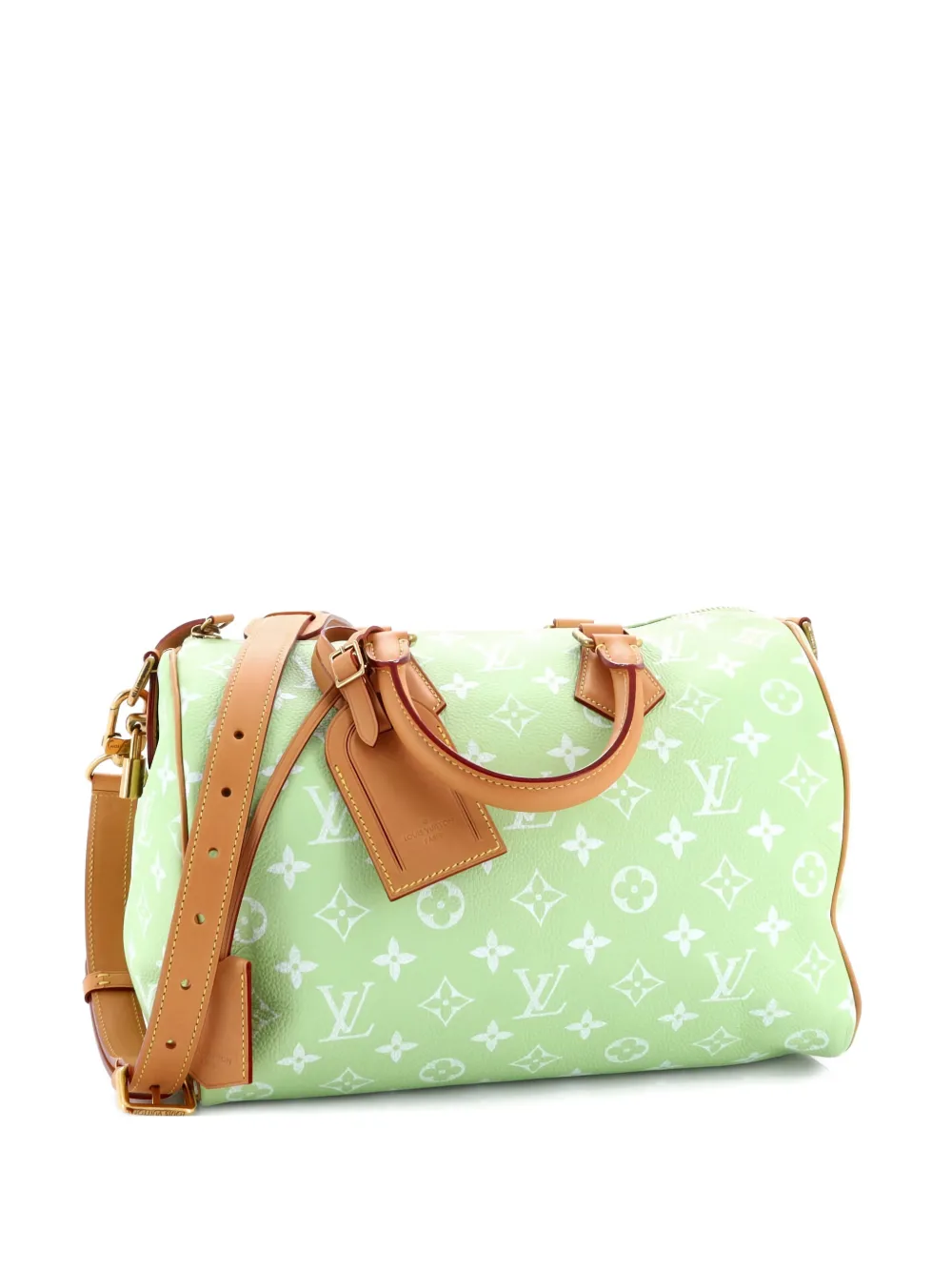 Louis Vuitton Pre-Owned Speedy P9 Bandouliere Bag Monogram Leather 30 satchel - Verde