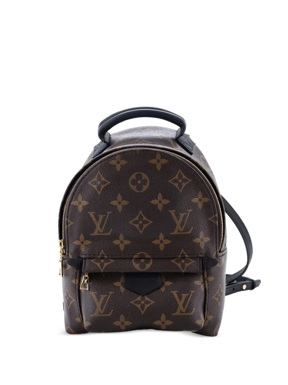 Louis Vuitton Pre-Owned Palm Springs Monogram Canvas Mini backpack | Brown | Image 1