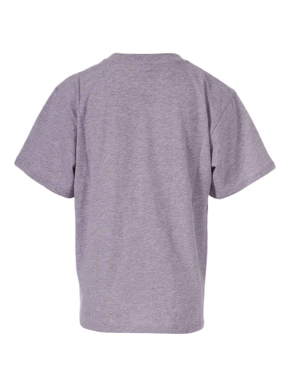 Stella McCartney Kids T-shirt met grafische print Grijs