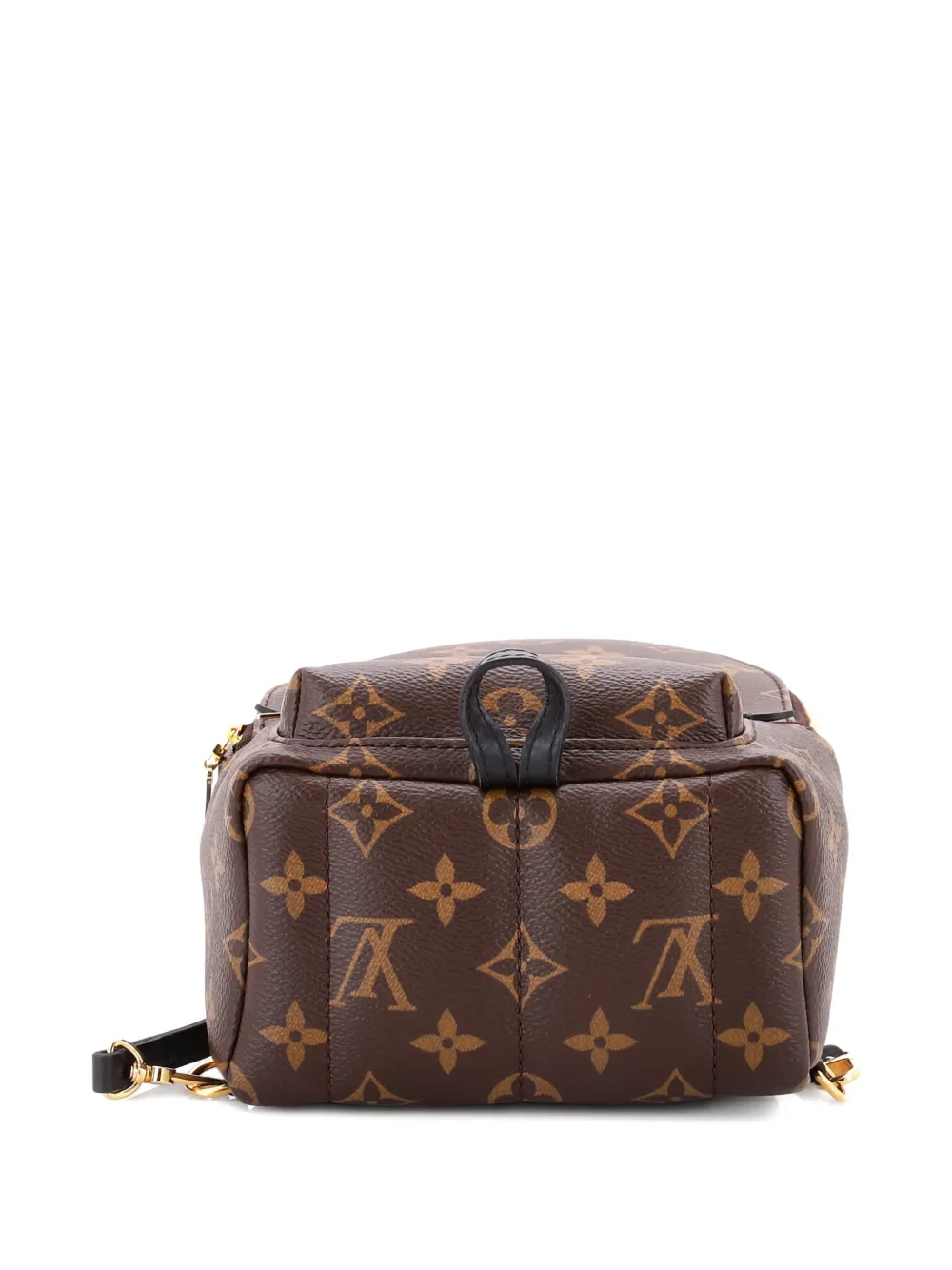 Pre-owned Louis Vuitton Palm Springs Monogram Canvas Mini Backpack In Brown