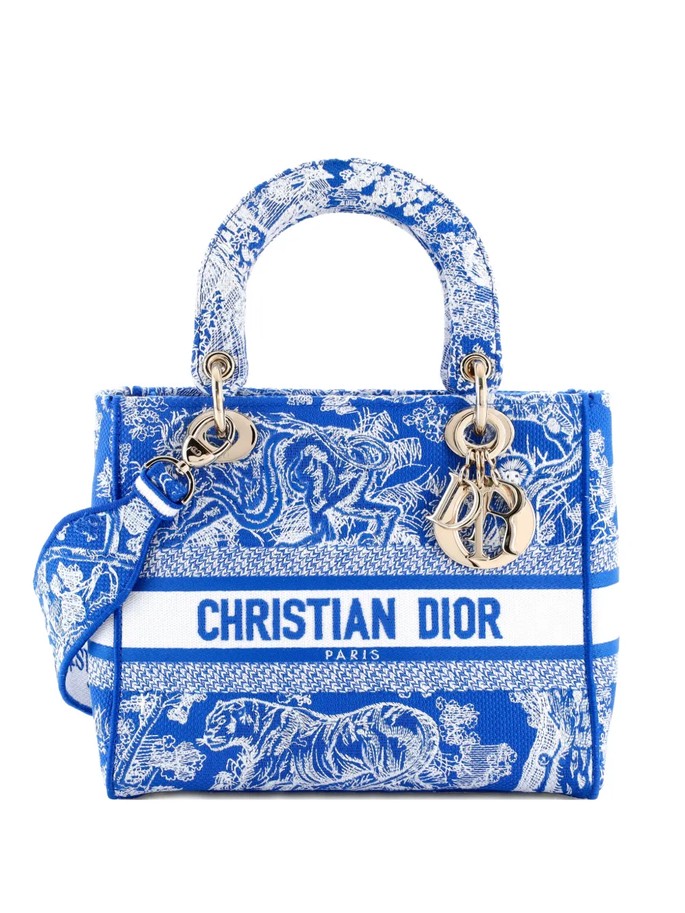Christian Dior Pre-Owned Lady D-Lite Bag Embroidered Canvas Medium satchel - Blu
