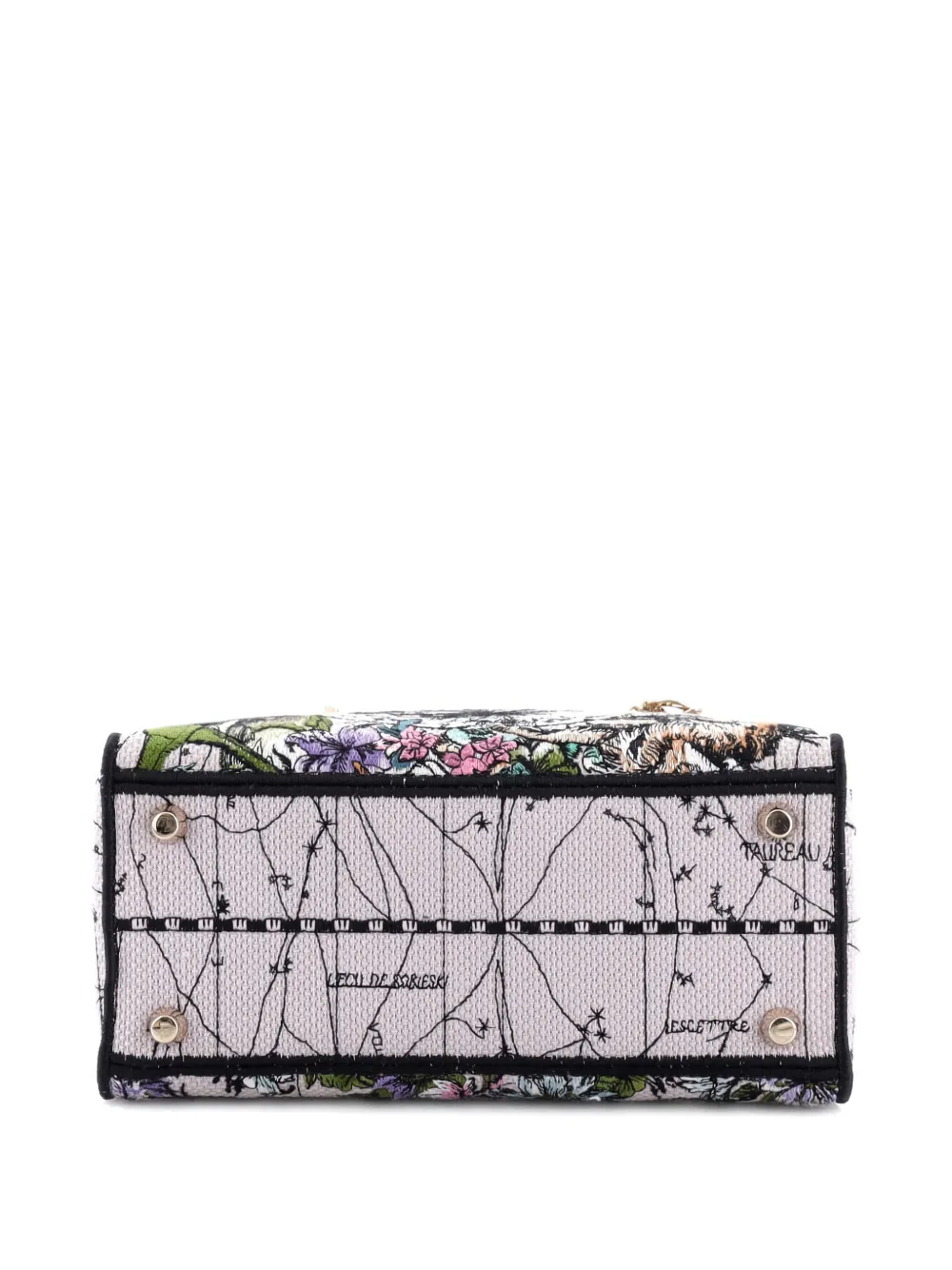 DIOR Pre-owned Lady D-lite Bag Embroidered Canvas Medium Satchel In Multi