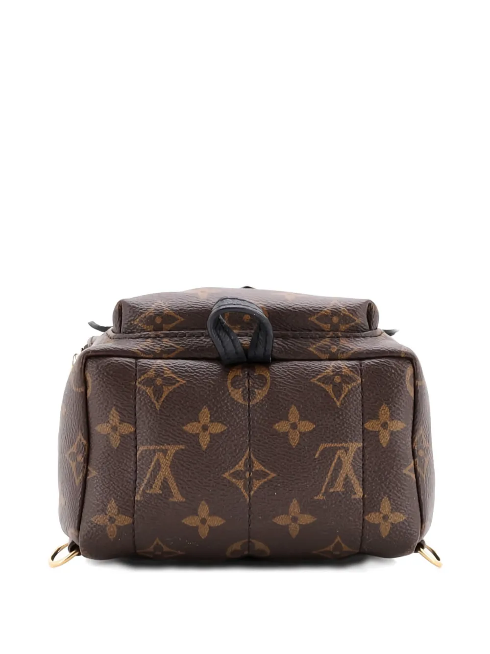 Palm Springs Monogram Canvas Mini Backpack
