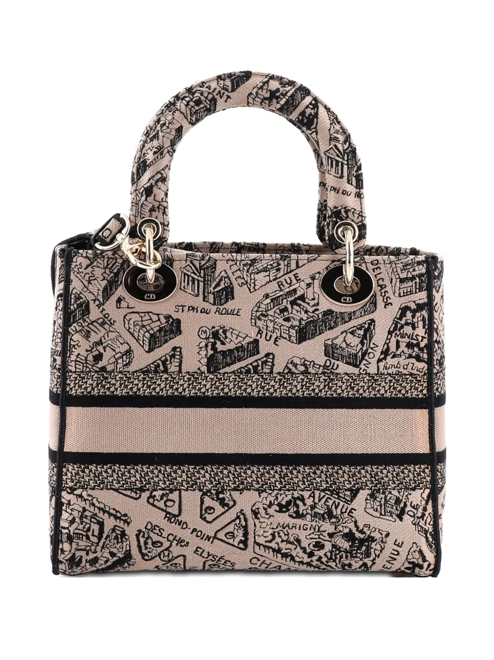 Pre-owned Dior Lady D-lite Bag Embroidered Canvas Medium Satchel In Black