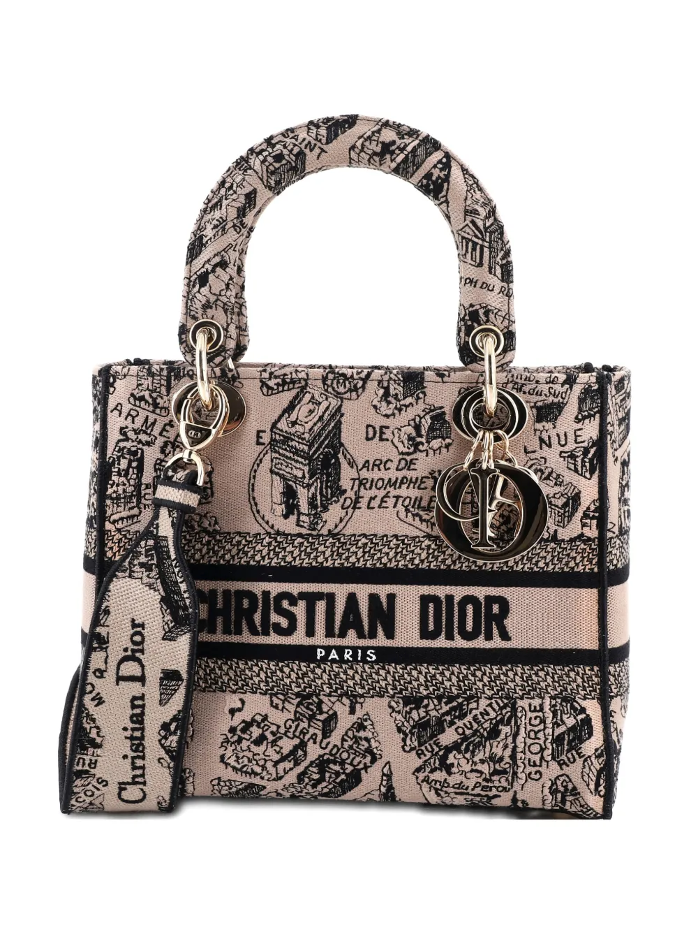 Christian Dior Pre-Owned Lady D-Lite Bag Embroidered Canvas Medium satchel - Black