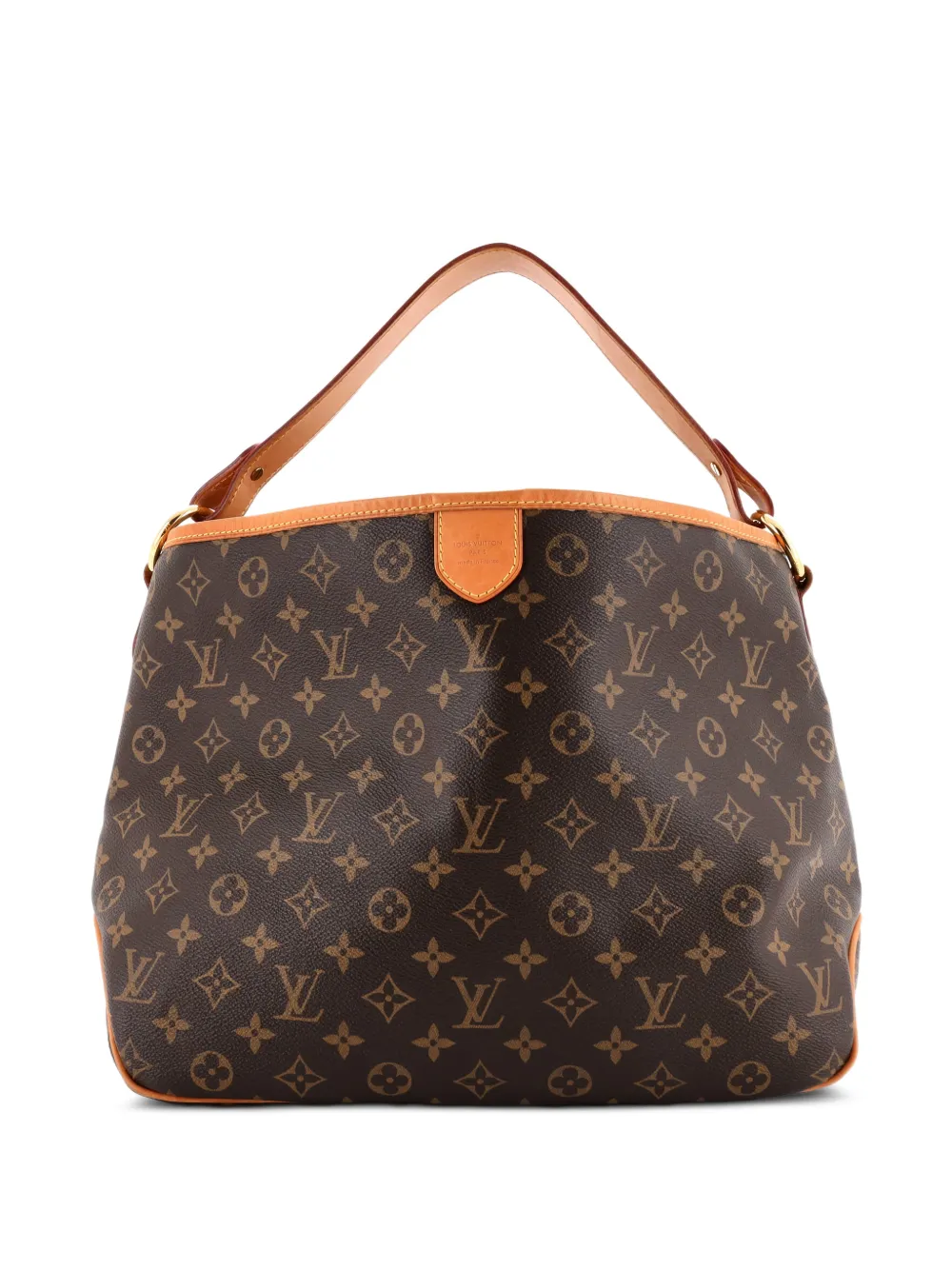 Louis Vuitton Pre-Owned Delightful Handbag Monogram Canvas PM hobo bag - Marrone
