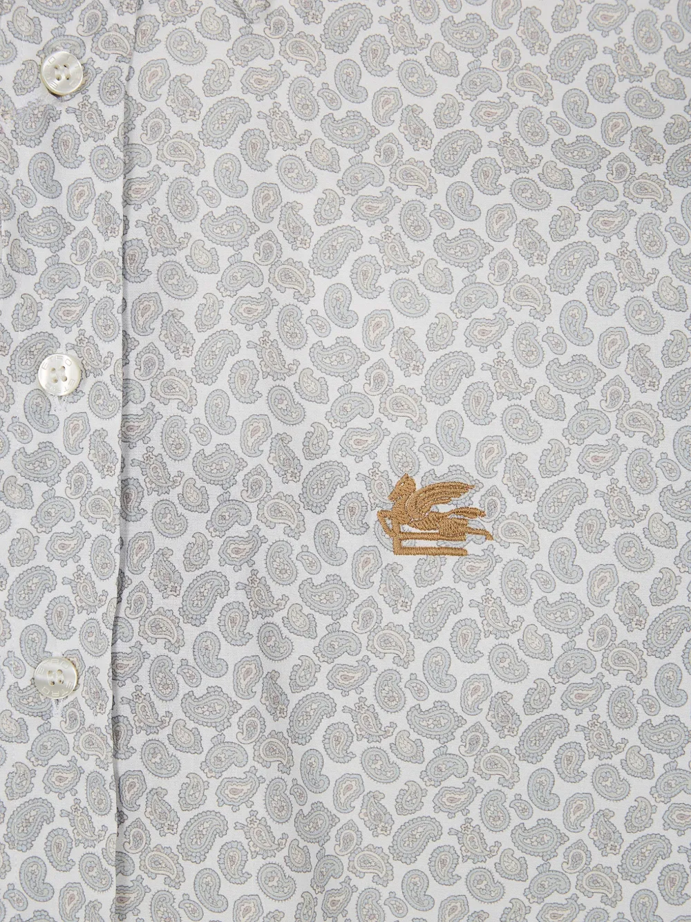  Etro Paisley-pattern Embroidered Shirt - Neutrals 