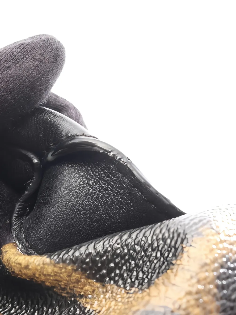 LOUIS VUITTON Pre-owned 2015 Palm Springs Pm Leopard-print Backpack In Brown