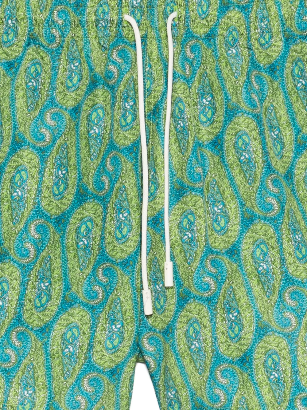  Etro Paisley Swim Shorts - Green 