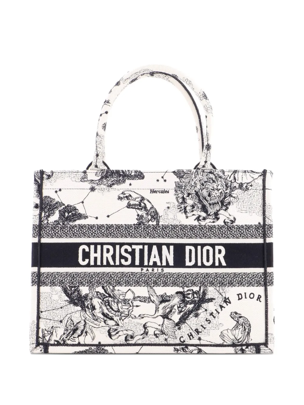 Christian Dior Pre-Owned Book Embroidered Canvas Medium tote bag - Multicolore