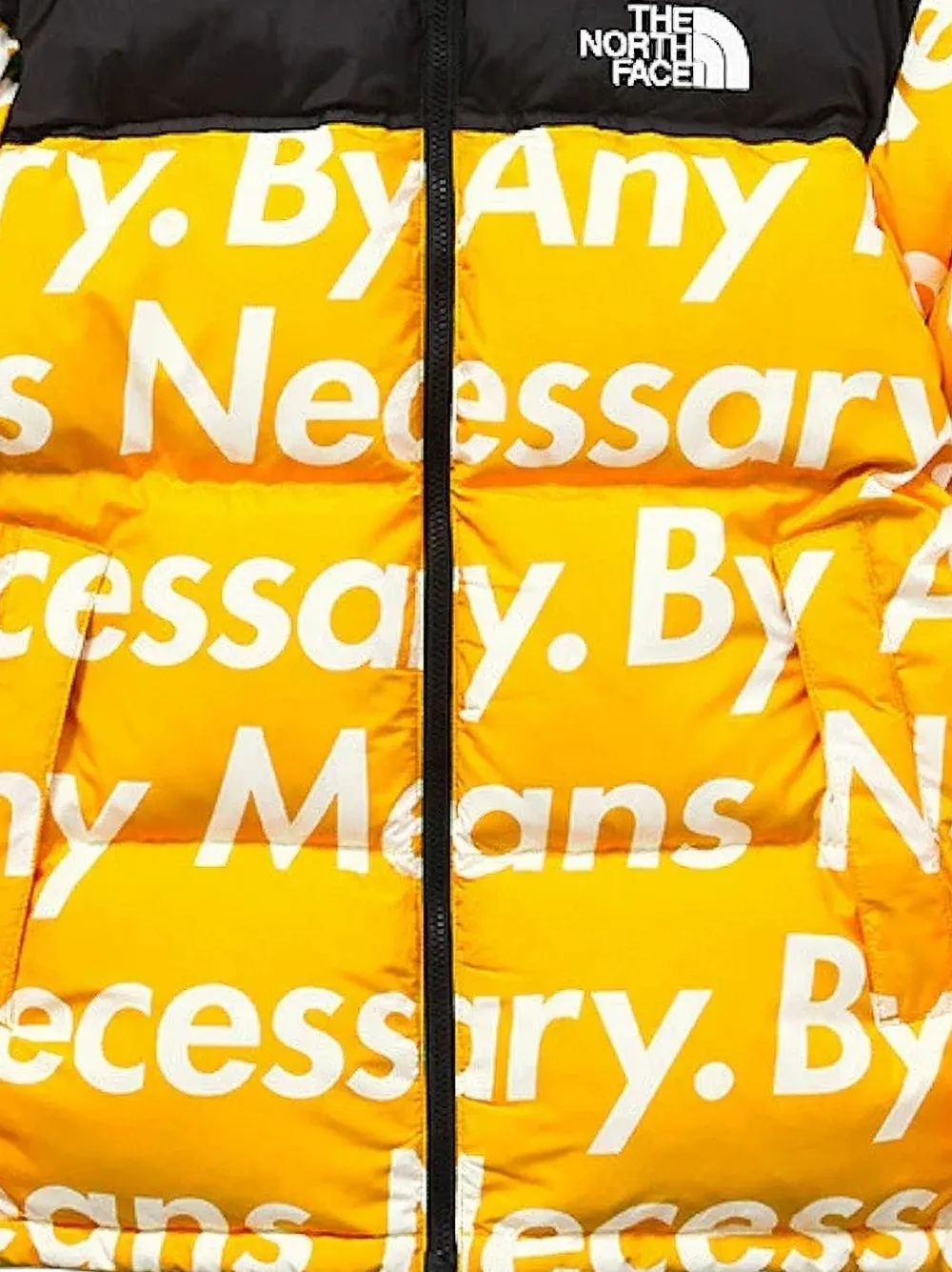 Supreme x The North Face lettering-print padded jacket | Down Jackets | Image 2