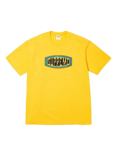 Supreme Pound graphic T-shirt