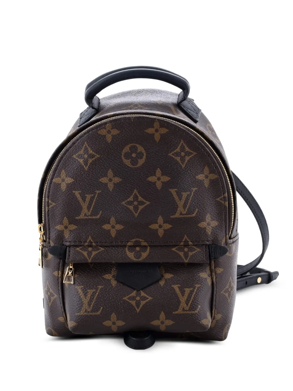 Louis Vuitton Pre-Owned Palm Springs Monogram Canvas Mini backpack - Marrone